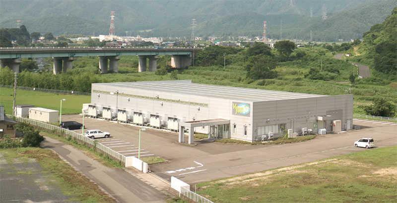 ビタミンファーム福井工場全景